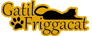 Gatil Friggacat
